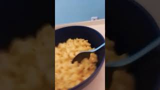 Macaroni cheese [upl. by Fritzsche]