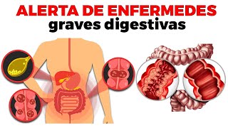 9 enfermedades del SISTEMA DIGESTIVO comunes que deberías conocer [upl. by Palecek]