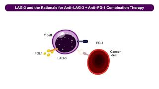 Expanding the Benefits of ImmunoOncology Through Novel Rational Targets and Combinations [upl. by Dorri807]