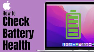 How to Check MacBook Battery Health [upl. by Holzman]