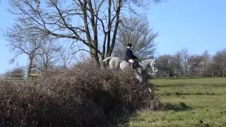 Cottesmore Hunt and Heythrop Hunt Knossington 16 Feb 16 001 [upl. by Charpentier]