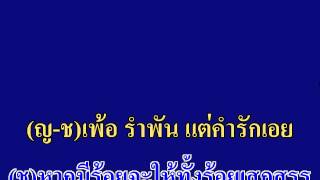 รัก เพลงคู่ [upl. by Allicerp]