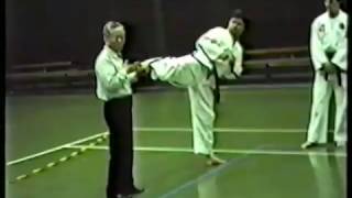 1994 ITF Taekwondo seminar with General Choi in Poland part 2 [upl. by Haroldson282]