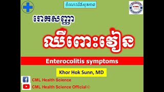 រោគសញ្ញា ឈឺពោះវៀន l Enterocolitis symptoms ll CML Health Science Official [upl. by Epul824]