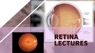 RETINA lecture 29 RETINOBLASTOMA with all IMPORTANT details [upl. by Demha787]