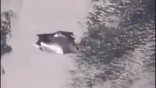 Leaked Nasa Footage of the Black Knight Satellite [upl. by Ainyt]