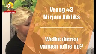 Vraag 3 DierenLot  Mirjam Addiks [upl. by Binette207]