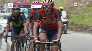 Vincenzo Nibali vince la Tappa Regina del Giro dItalia 100 [upl. by Marcelline172]