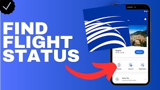 Where to find the flight status in the Copa Airlines app [upl. by Anelleh441]