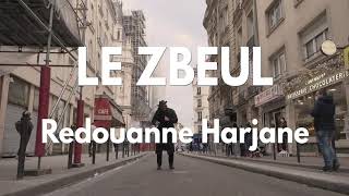 🔊🔊🔊 Redouanne Harjane  Le Zbeul Clip Officiel [upl. by Eenttirb]