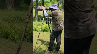 Natures Portraits short wildlifephotography nature wildlife viralvideo [upl. by Holms]