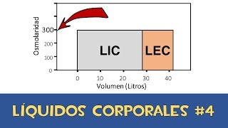 Líquidos corporales 4 💧 Osmolaridad [upl. by Leehar]