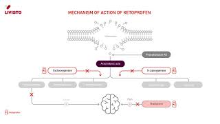 How does ketoprofen work [upl. by Kermie202]