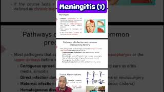 Meningitis 1 الالتهاب السحائي microbiology medicalstudent [upl. by Schuh]