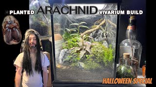 HALLOWEEN ARACHNID BUILD🕷️ 3 gallon ecosystem [upl. by Desmond]