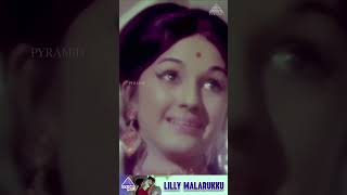 Lilly Malarukku Video Song  Ulagam Sutrum Valiban Movie Songs  MGR  Manjula  ytshorts [upl. by Aisemaj]