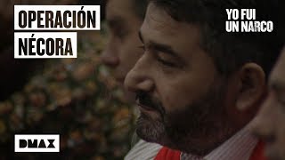 ¿Fue la Operación Nécora un montaje  Yo fui un narco [upl. by Obelia]