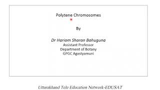 Polytene Chromosomes [upl. by Nnairam317]