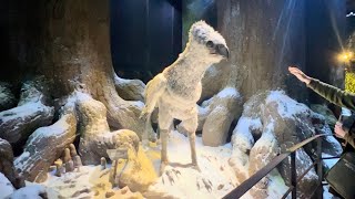 The Forbidden Forest  Harry Potter WB Studio Tour London harrypotter shorts [upl. by Korfonta]