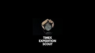 Timex Expedition Scout shorts [upl. by Nadia]