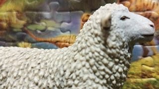 Reviews 237  Safari Ltd 2018 Sheep HowiSafari [upl. by Nemsaj220]