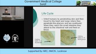 Ancylostoma Duodenale and Necator Americanus by Dr Alpa Patel Microbiology Dept GMCS [upl. by Cigam]