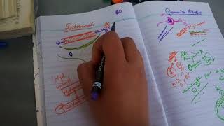 GLOMERULAR FILTRATION imp concepts in easy way part 2 [upl. by Noiram694]