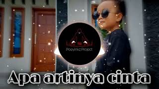 DJ APA ARTINYA CINTA  ORIGINAL BY POEYINKZ PROJECT [upl. by Aihcela]