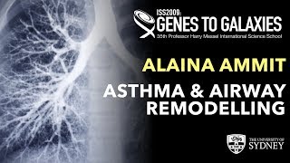 Asthma and Airway Remodelling — Associate Professor Alaina Ammit [upl. by Eceerehs538]