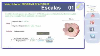 ESCALAS NUMÉRICAS PROBLEMA RESUELTO 01 [upl. by Sanez]