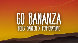 Belly Dancer x Temperature TikTok Remix dont be shy girl go bananza [upl. by Kcireddor]