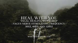 Vagus Nerve Stimulating Frequency  30hz 60hz and 120hz  Vagal Healing Workshop  Day Six [upl. by Spada]