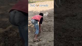 Uljhan Song 🐶 DoG 🐶Comedyyoutubeshorts shorts ytshorts funny comedy [upl. by Vories]