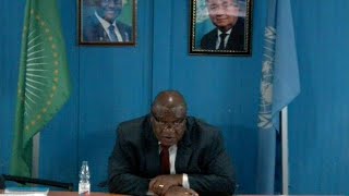 Special Representative for UNAMID on Sudan and South Sudan  Security Council Briefing [upl. by Auj144]