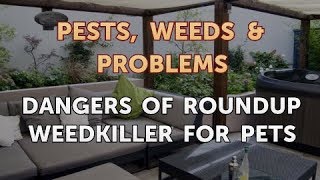 Dangers of Roundup Weedkiller for Pets [upl. by Orips767]