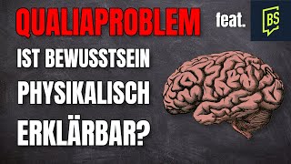 Qualia Problem Bewusstsein physikalisch erklärbarfeat BiasedSkeptic [upl. by Pearl]