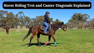 Horse Riding Trot and Canter Diagonals Explained  Horse Riding Tutorial  Equestrian [upl. by Sirmons]