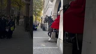 king’s Guard Horses Dancing Horse 🐎 horse royalhorseguard history shorts tiktok [upl. by Senhauser]