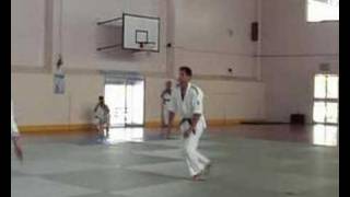 2006 Shodokan Aikido Freestyle Kata Demonstration 2 [upl. by Alleiram]