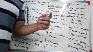 SCLERENCHYMA std 9 chapter 6 sclerenchyma planttissue deadcells cbse9 [upl. by Lilah]