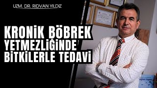 Kronik böbrek yetmezliğinde bitkilerle tedavi  Dr Rıdvan Yıldız [upl. by Niall817]