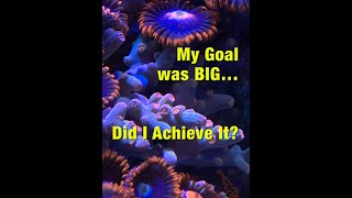 My Goal was BIG… Did I Achieve It [upl. by Hefter]