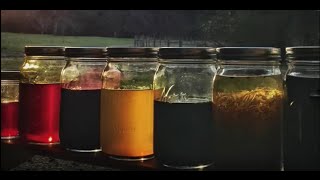 Infusing Oils with Herbs and Spices for Use in Cold Process Soap Making [upl. by Coppola]