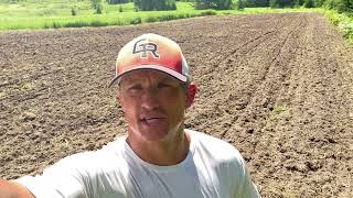 Step by step putting in Brassica food plots Northern Minnesota 2022￼ [upl. by Dickie]