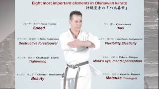 The Essence of Okinawan Karate The Power of Chinkuchi [upl. by Omsare]