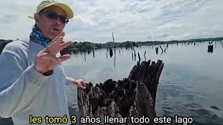 Hidden Guardians How Submerged Trees Sustain Panama Canal’s Aquatic Ecosystem [upl. by Gleeson950]