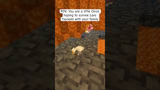 Little Chick hoping to survive Lava Tsunami in Minecraft minecraft [upl. by Kassi]