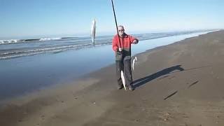 Pesca de Pejerreyes Panzones y Escardones en Paso Seco San Blas 14 de Junio de 2016 [upl. by Lynelle]