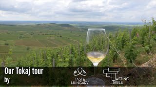 Taste Hungary Wine Tour to Tokaj [upl. by Anatola]