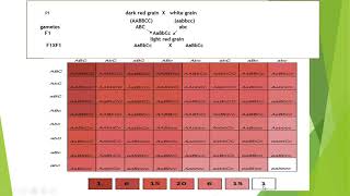 Genetics part 4 polygenic inheritance [upl. by Lesoj969]